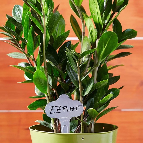 Bosmere Wren Professional 6-1/2-Inch Stainless Steel Re-Usable Plant Label - Picture 2 of 7